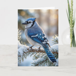 Weihnachtsblauhäher auf einer schneebedeckten Kief Karte