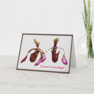 WeihnachtsBlumen-Orchidee Feiertagskarte