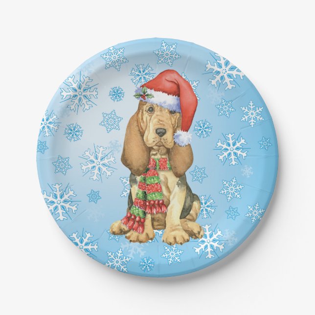 Weihnachtsblutdruckplatte Pappteller (Vorderseite)