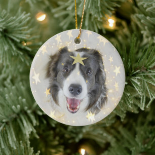 Weihnachtsborder Collie Hund mit Sternen und Licht Keramik Ornament
