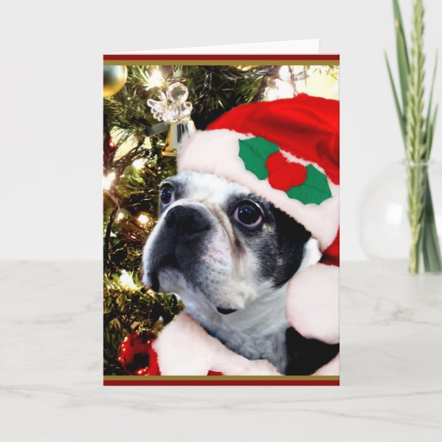Weihnachtsboston-Terrier Feiertagskarte (Vorderseite)