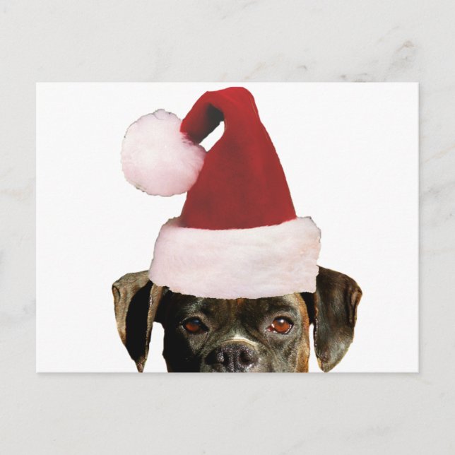 Weihnachtsboxer Postkarte (Vorderseite)
