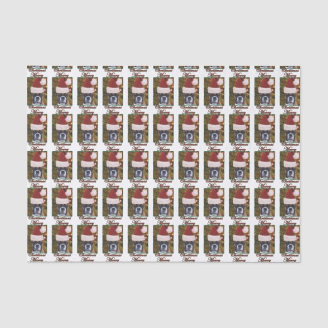 Weihnachtsboxerhund Seidenpapier (Vorderseite)