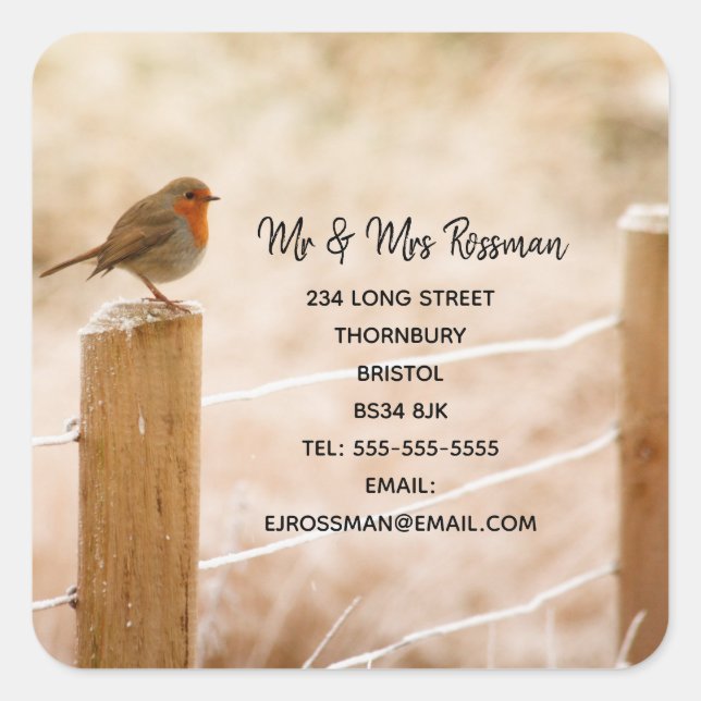 Weihnachtsbüchse Änderung des Adressenaufklebers Quadratischer Aufkleber (Vorderseite)