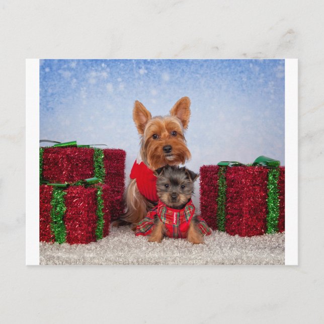 Weihnachtsbuddies Feiertagspostkarte (Vorderseite)