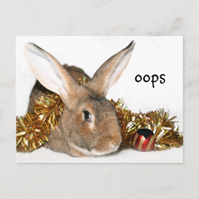 Weihnachtsbunny Boo Feiertagspostkarte (Vorderseite)