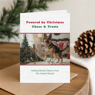 Weihnachtschaos und Leckerlis Lustiges Hunde-Foto Feiertagskarte