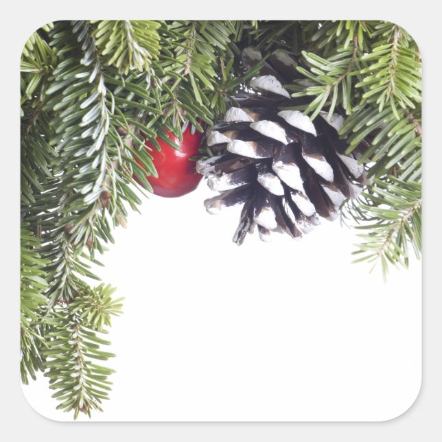 Weihnachtschreath Pine Cone Red Berry Template Quadratischer Aufkleber (Vorderseite)