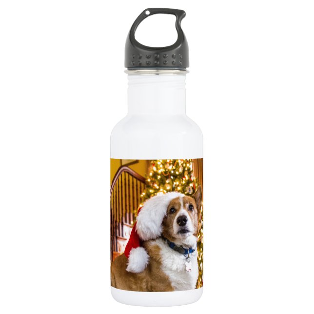 WeihnachtsCorgi Trinkflasche (Vorderseite)