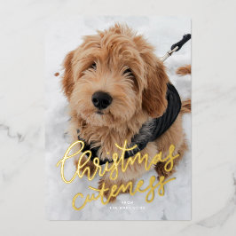 Weihnachtscreme ein Foto niedliches Haustier Folien Feiertagskarte