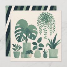 Weihnachtscreme Grüne Pflanze