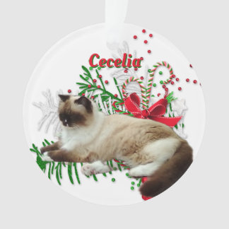 Weihnachtsdekorationen Individueller Haustier-Acry Ornament