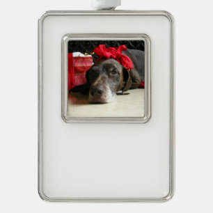 Weihnachtsdeutscher kurzhaariger Zeiger Rahmen-Ornament Silber