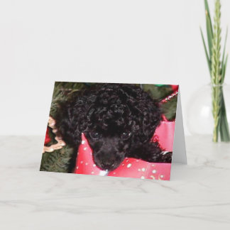 Weihnachtsengel Feiertagskarte