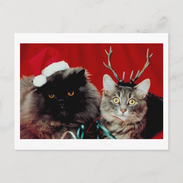 Weihnachtsfeier Postkarte (Vorderseite)