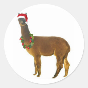 Weihnachtsfeiertag Alpaca Runder Aufkleber