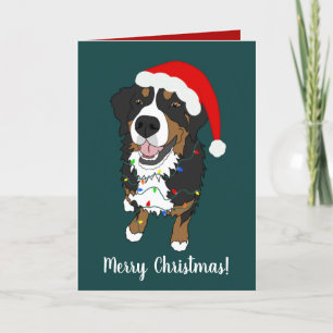 Weihnachtsfeiertag Bernese Mountain Dog Dankeskarte