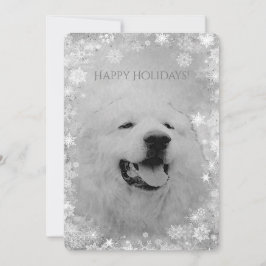 Weihnachtsfeiertag - Große Pyrenäen Urlaub Einladung