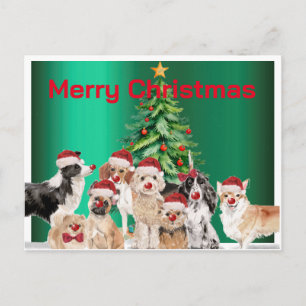 Weihnachtsfeiertag Hund liebt Grün Merry Postkarte