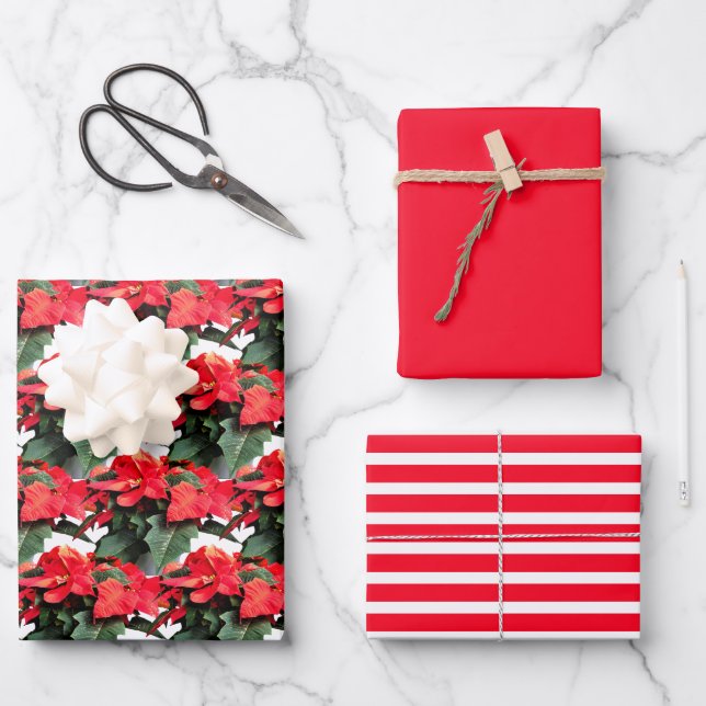 Weihnachtsfeiertag Rote Poinsettia Blume drucken Geschenkpapier Set (Vorderseite)
