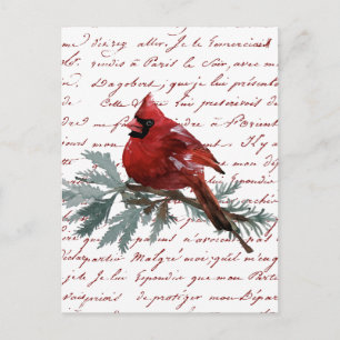 Weihnachtsfeiertag Roter Kardinal Bird Französisch Postkarte