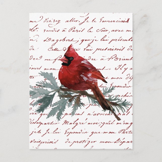 Weihnachtsfeiertag Roter Kardinal Bird Französisch Postkarte (Vorderseite)