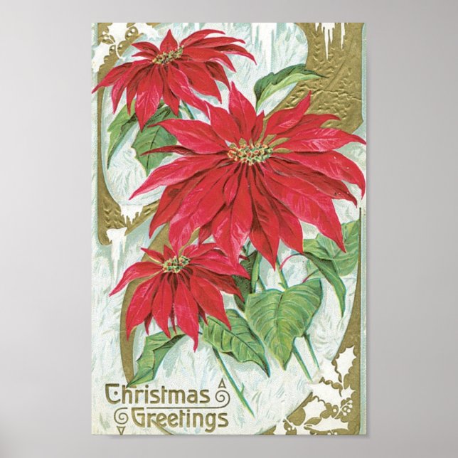 Weihnachtsfeiertage Blume Poster (Vorne)