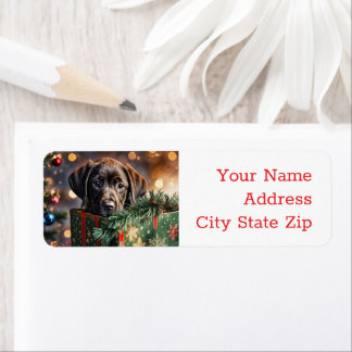 Weihnachtsfeiertage Schokolade Labrador Welpenrück