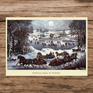 Weihnachtsfeiertage, Zentralpark im Winter Poster