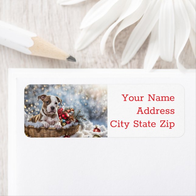 Weihnachtsfeiertagen Rückgabe Labels Pitbull Welpe (Insitu)