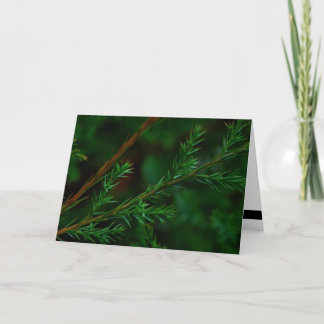 Weihnachtsfeiertags-Karte Feiertagskarte