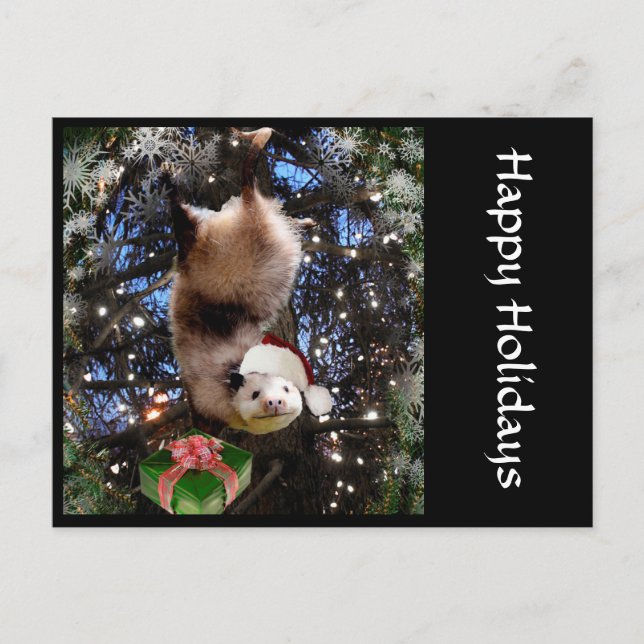 Weihnachtsfeiertags-Opossum-Postkarte Feiertagspostkarte (Vorderseite)