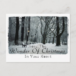 Weihnachtsfotografie Postkarte