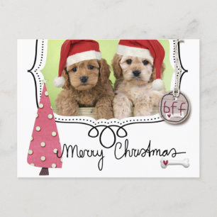 Weihnachtsfotokarte für Haustiere Feiertagspostkarte