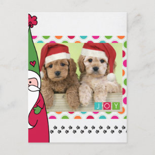 Weihnachtsfotokarte für Haustiere Feiertagspostkarte