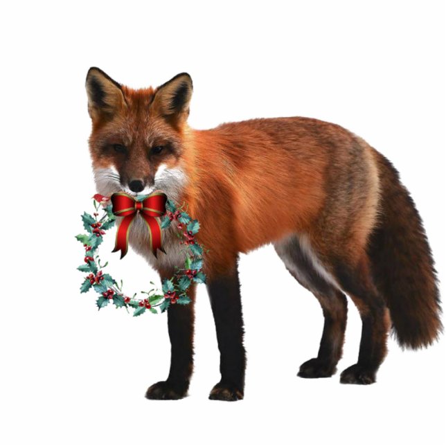 Weihnachtsfox mit Foto-Karikatur Freistehende Fotoskulptur (Vorne)