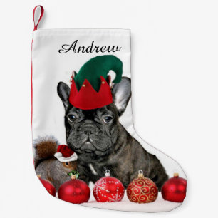 Weihnachtsfranzösische Bulldogge Kleiner Weihnachtsstrumpf