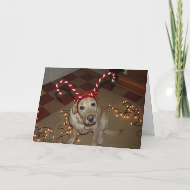 Weihnachtsfreude! Feiertagskarte (Vorderseite)