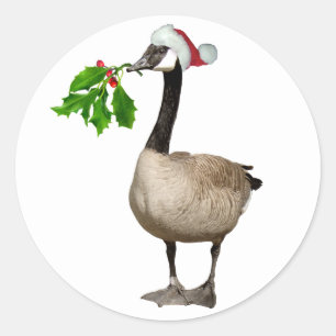 Weihnachtsgans-Aufkleber Runder Aufkleber