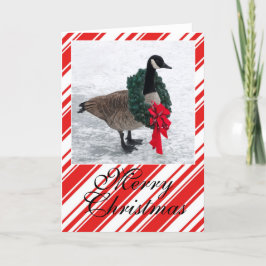 Weihnachtsgans mit Kranz Feiertagskarte