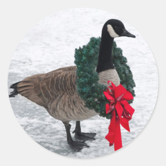 Weihnachtsgänse Runder Aufkleber