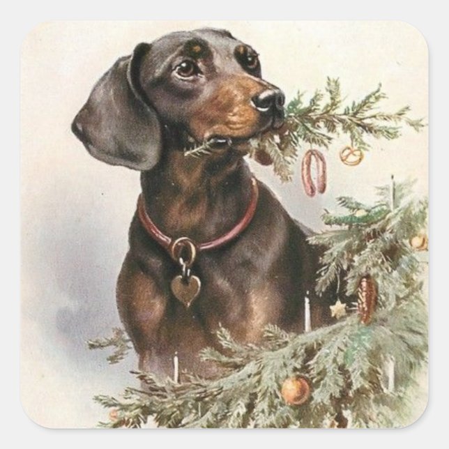 Weihnachtsgebäck Dackel Hund Quadratischer Aufkleber (Vorderseite)