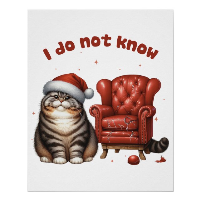 Weihnachtsgeschenk, das ich nicht kenne poster (Vorderseite)