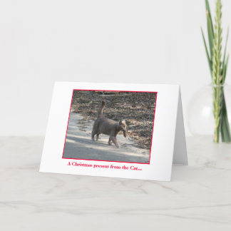 Weihnachtsgeschenk der Katze... Feiertagskarte