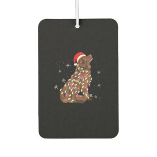 Weihnachtsgeschenk   Witzige Weihnachtsfeier Autolufterfrischer