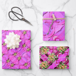 Weihnachtsgeschenk Wrap Pink Poinsettias Geschenkpapier Set