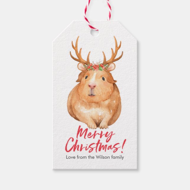 Weihnachtsgeschenktafeln niedlicher Hamster Geschenkanhänger (Vorderseite)