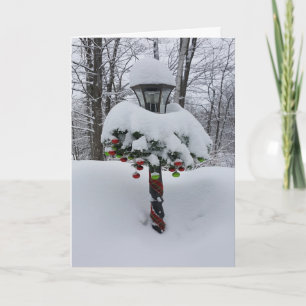 Weihnachtsgeschmack Winterurlaub Weihnachten Weihn