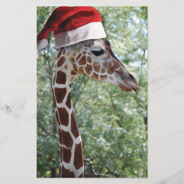 WeihnachtsGiraffe (Vorderseite)