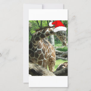 WeihnachtsGiraffe Feiertagskarte